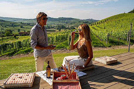 Experience - Picnic in the vineyards